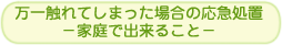 万一触れてしまった場合の応急処置 家庭で出来ること